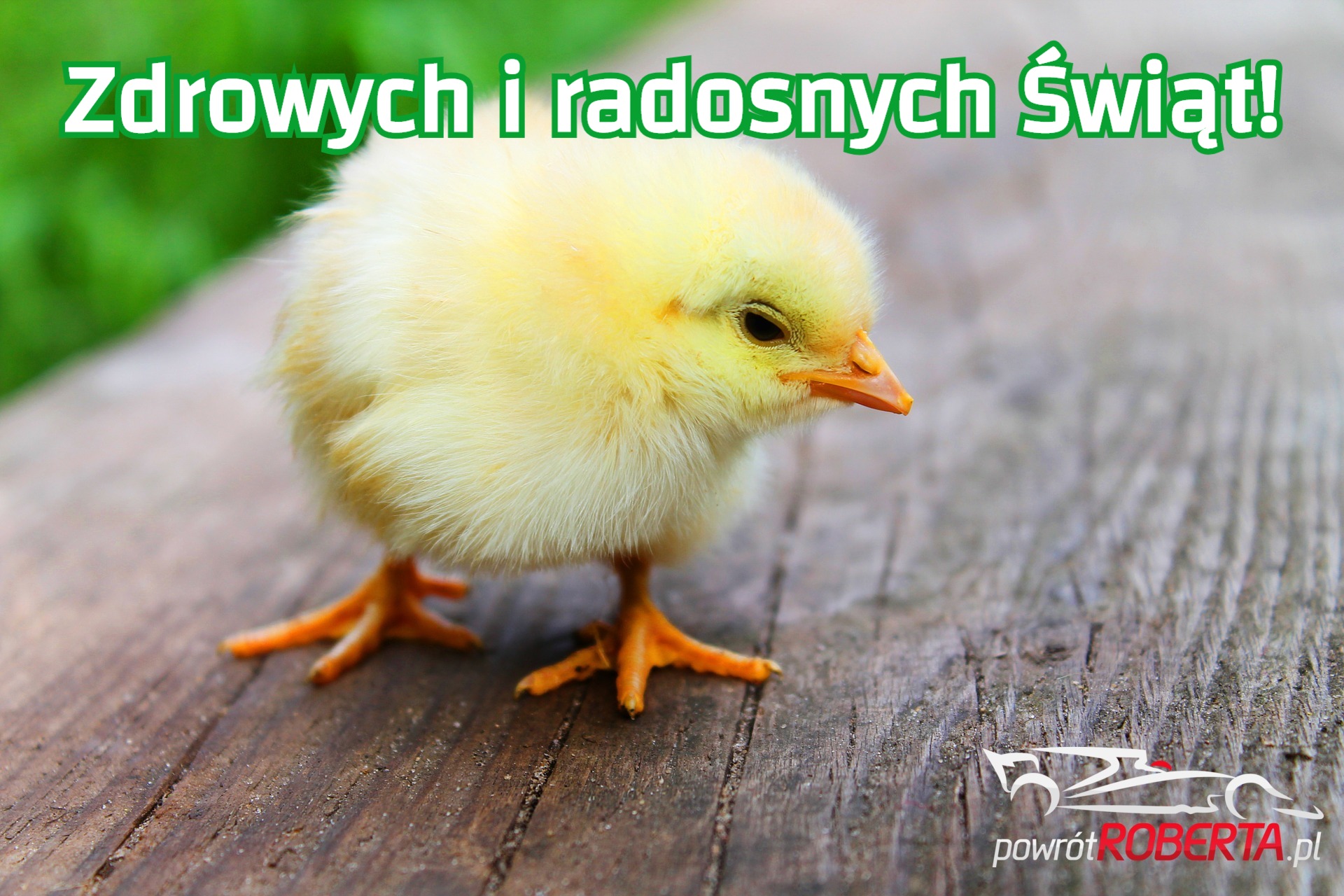 życzenia wielkanocne