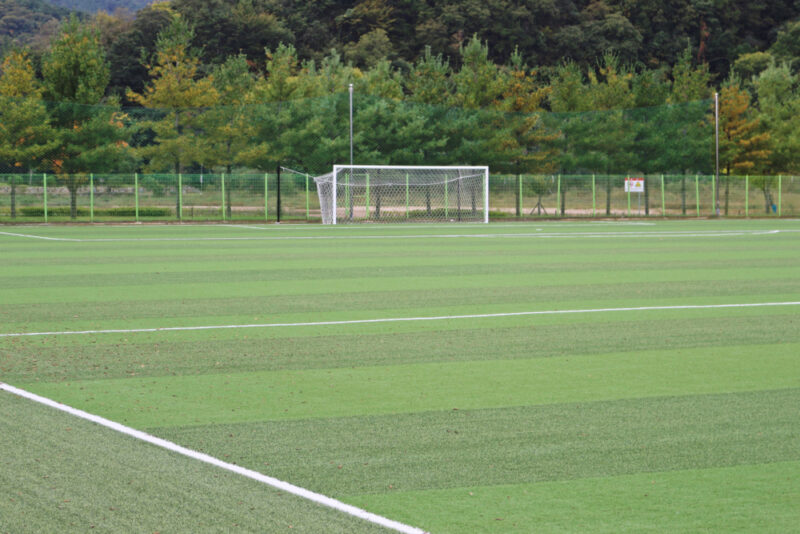 A,Goalpost,And,A,Football,Field,With,A,Broad,Lawn