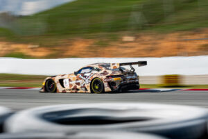 GTWC1025_101114403928761SVS_SVS